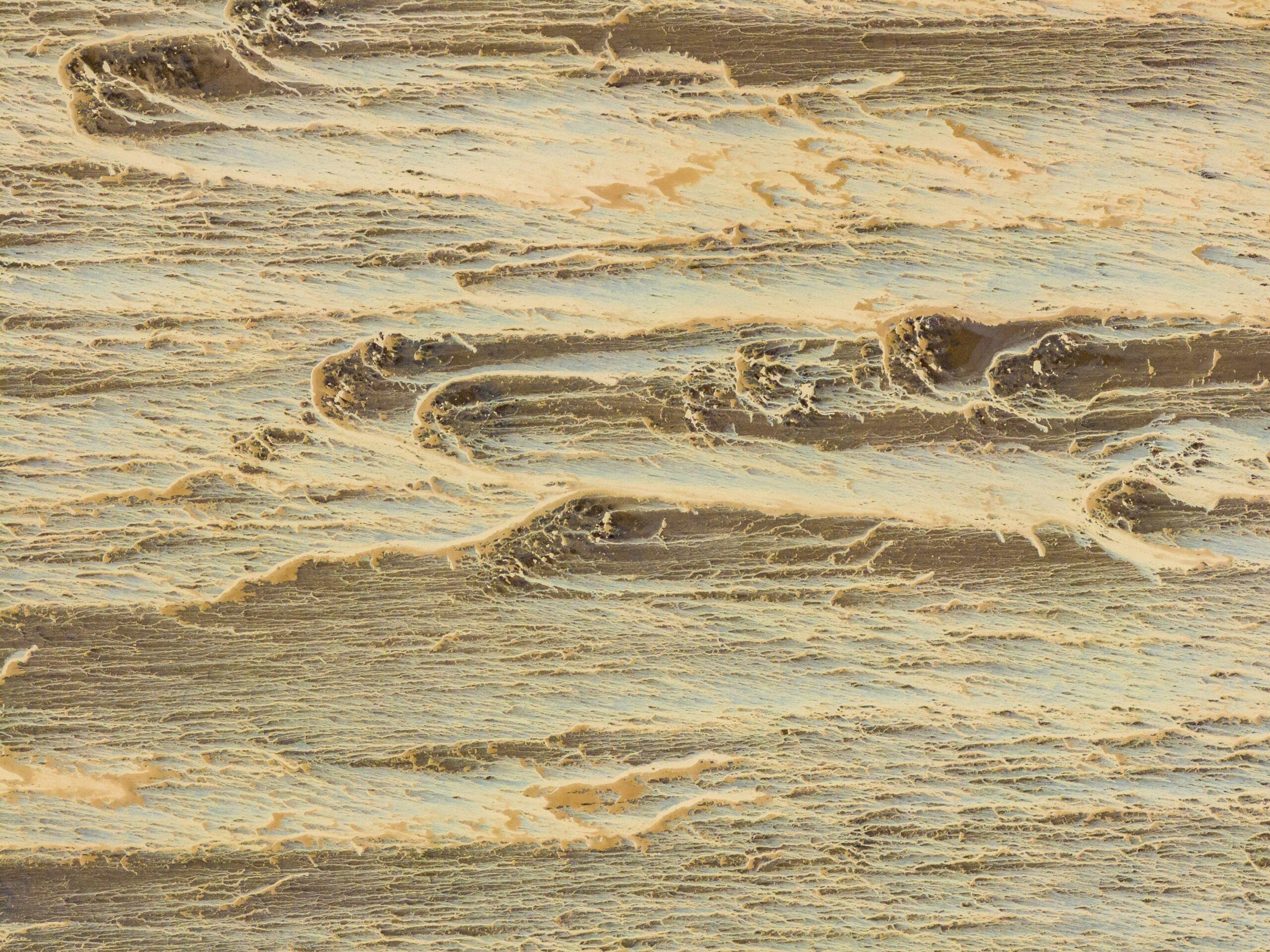 A close-up image of fresh turmeric root on a wooden surface