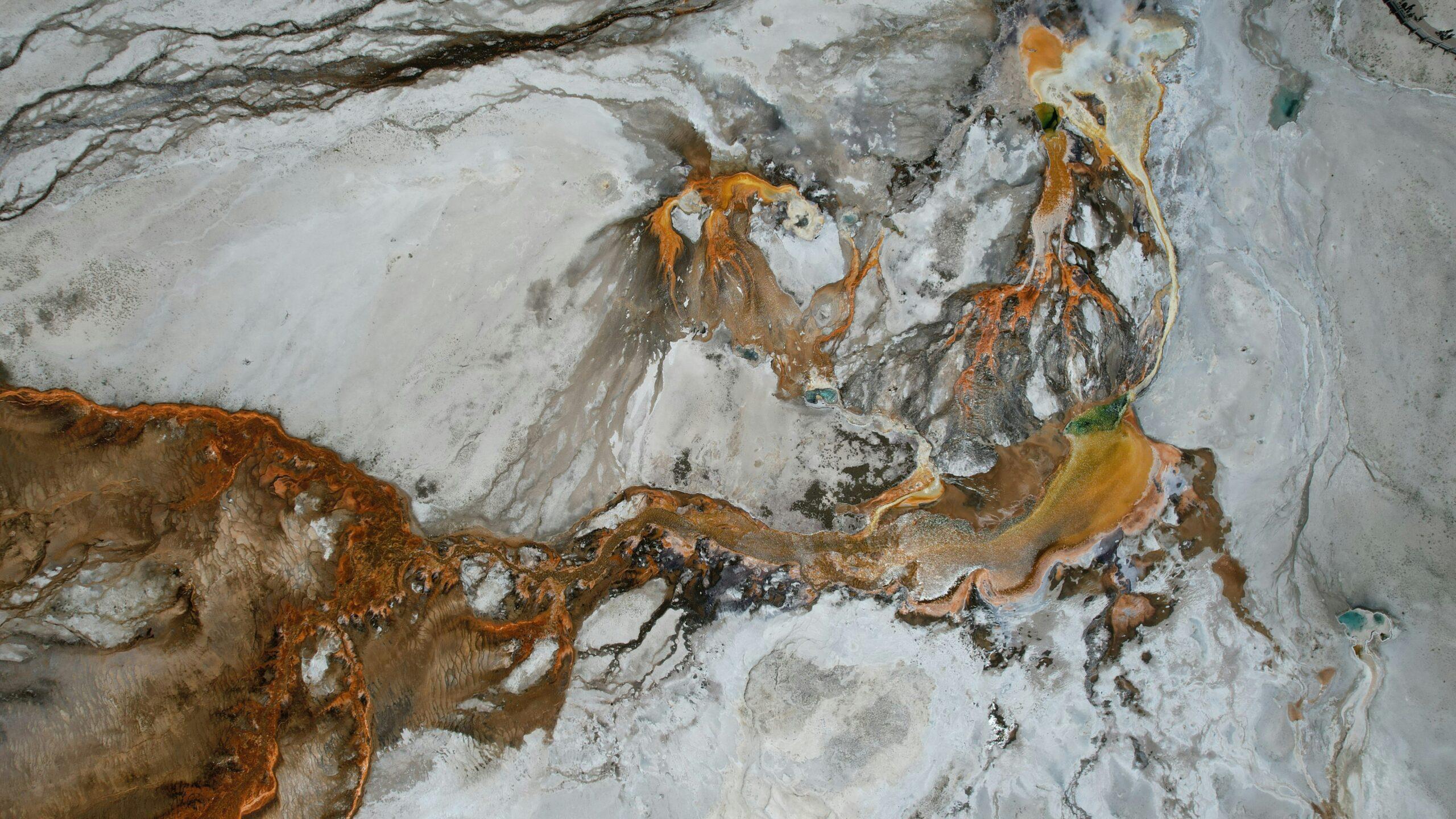 Fresh turmeric root sliced open showing vibrant orange interior