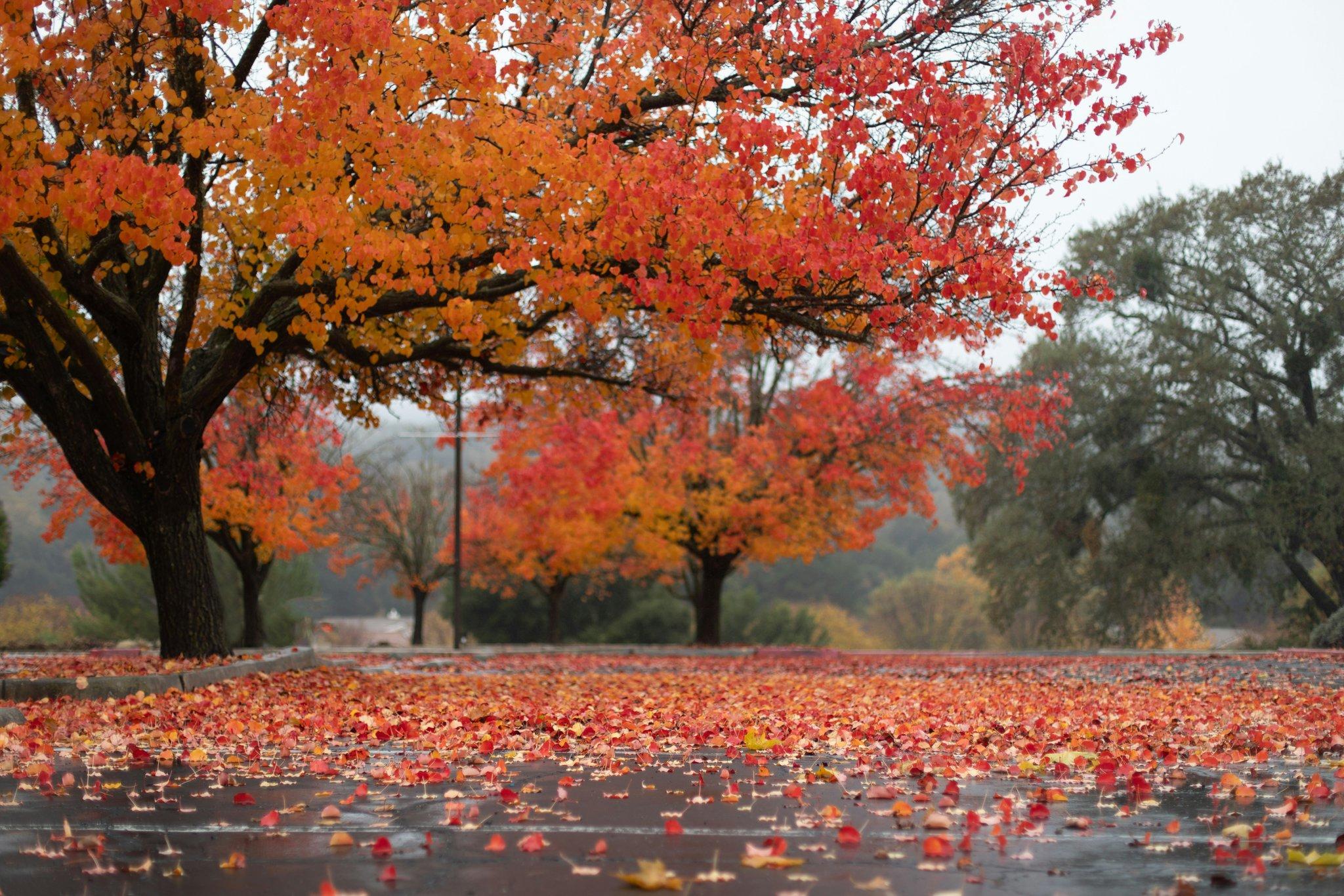 A person looking frustrated while standing on a scale