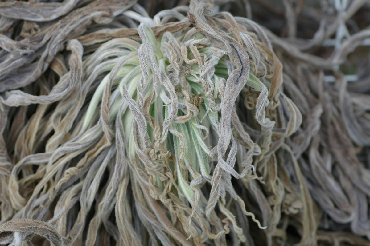 Man holding bottle of turmeric capsules smiling