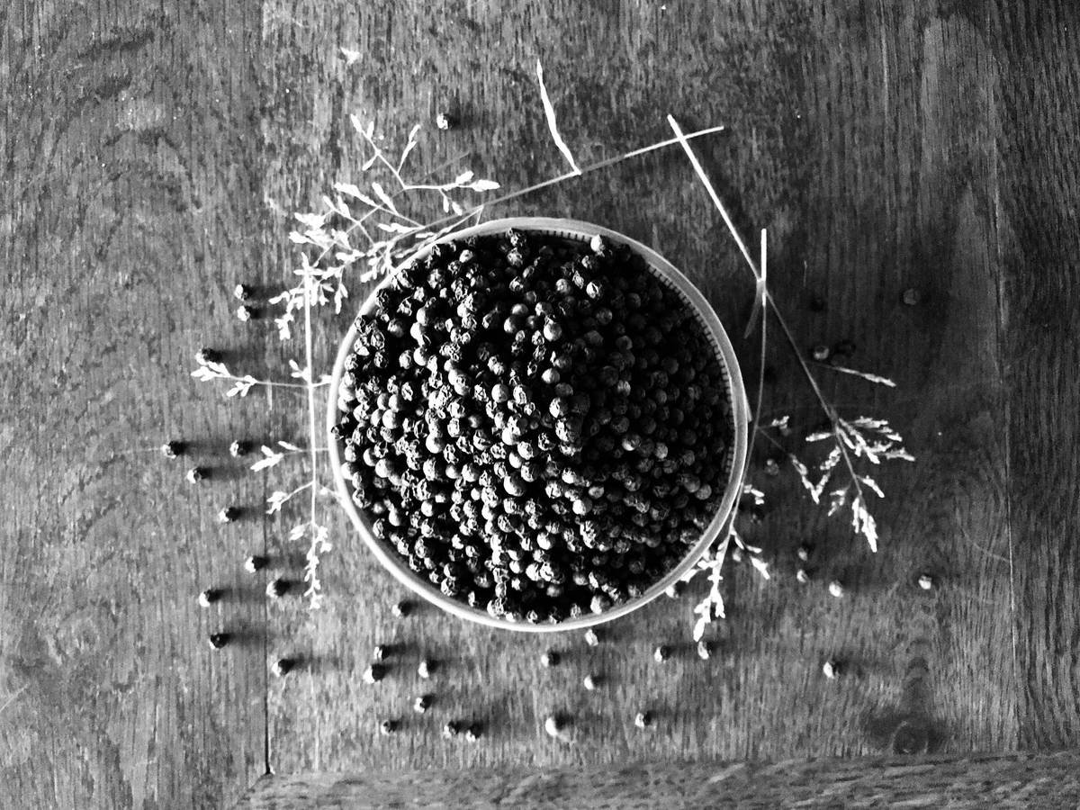 Infographic showing the key benefits of turmeric, including anti-inflammatory, antioxidant, and cognitive support properties.